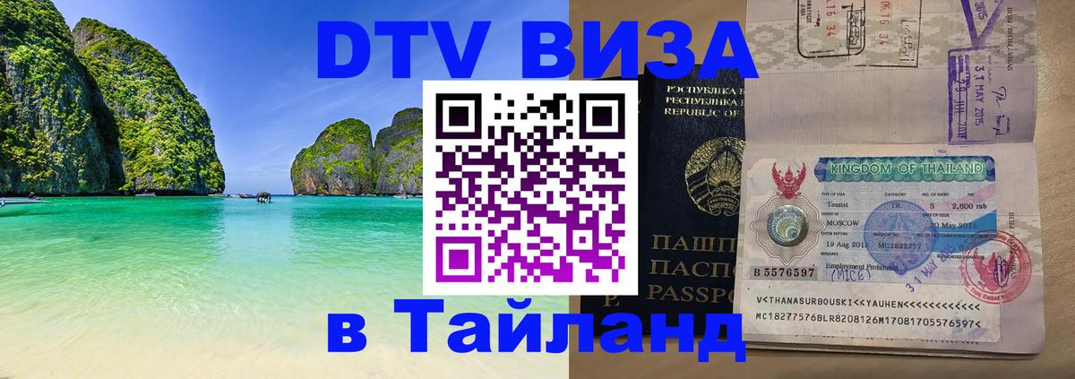 Сколько стоит DTV виза — актуальные цены, оформление даже без документов - Сана 